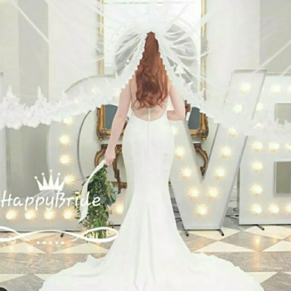 Stunning Lace Edge Cathedral Veil